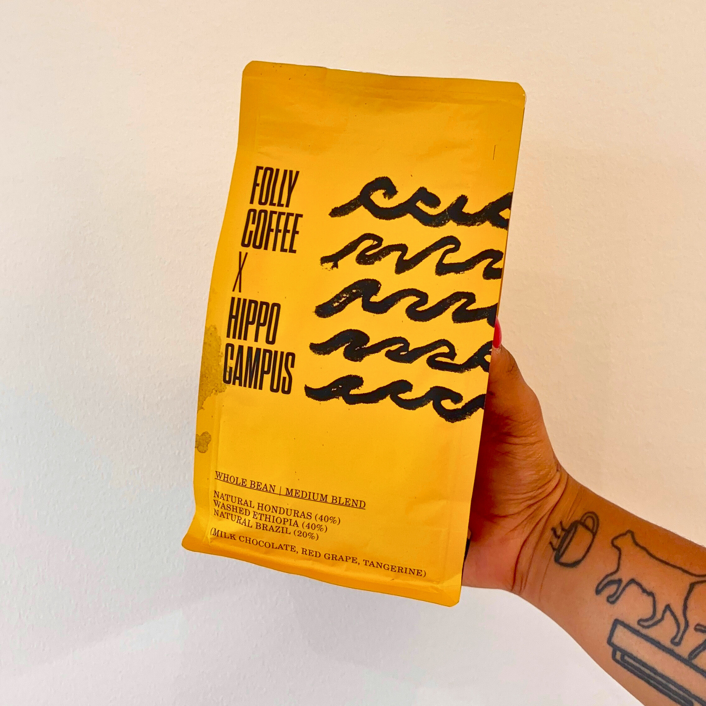 Folly Coffee x Hippo Campus Coffee Collaboration