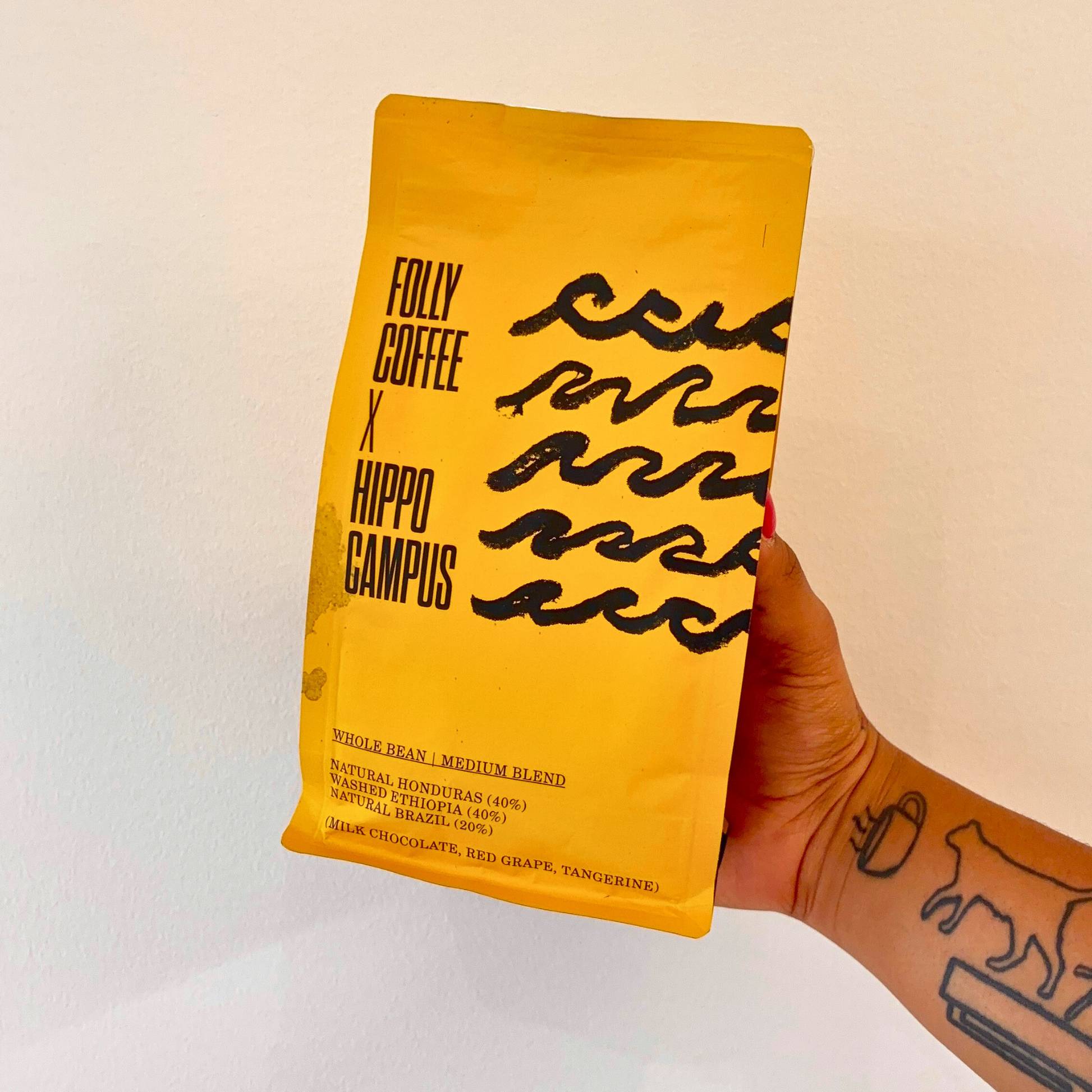 Hand holding yellow bag of Folly Coffee x Hippo Campus medium blend with wave design and tasting notes on label.